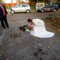 131026-HochzeitKatiFlo_212.jpg